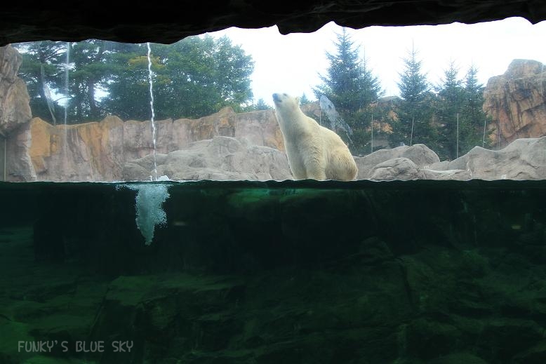 c0145250_1073669.jpg