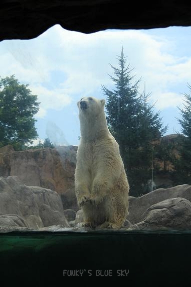 c0145250_1074844.jpg