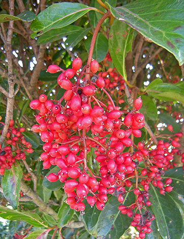 a0001354_2233027.jpg