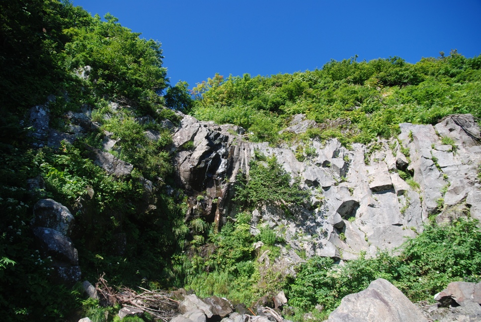 d0169556_19102239.jpg