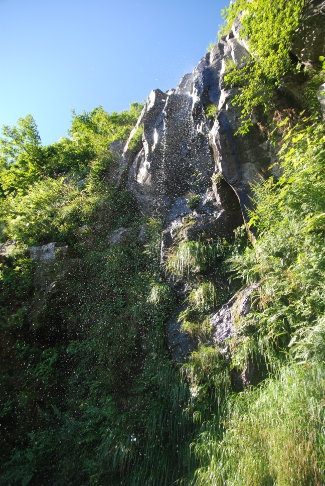 d0169556_1911020.jpg