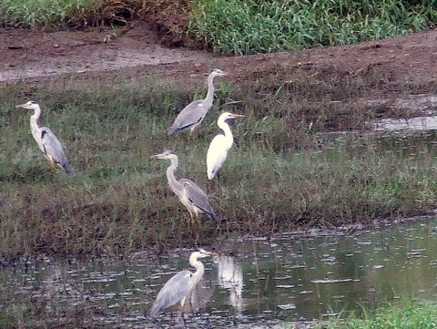 b0165760_1045410.jpg