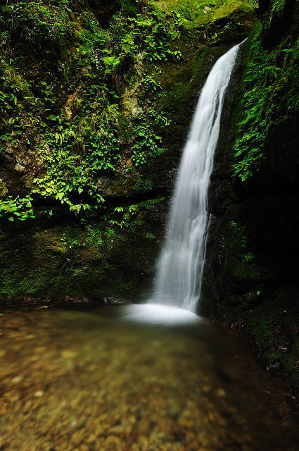 f0222161_10184128.jpg