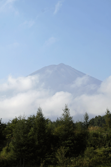 f0107364_7552228.gif