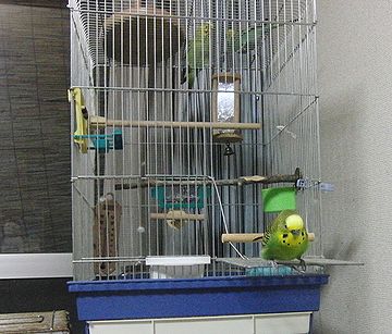f0196665_6582344.jpg