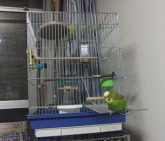 f0196665_6595879.jpg