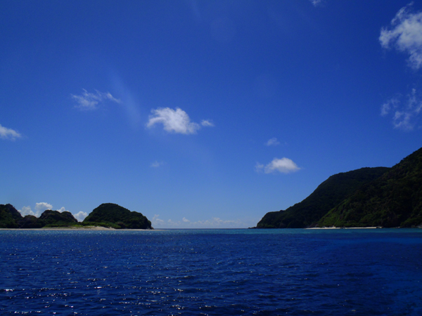 b0138768_22492338.jpg