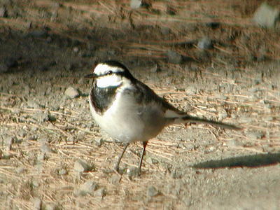 f0215268_21474844.jpg
