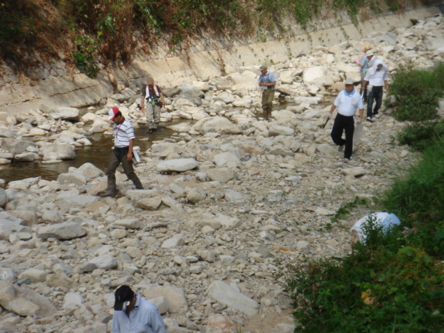 e0175370_1746452.jpg