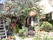 b0175571_1122580.jpg