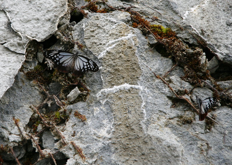 f0181173_15201510.jpg