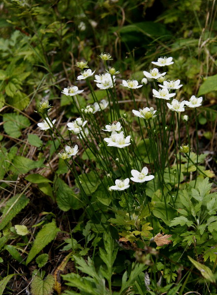 f0181173_155575.jpg