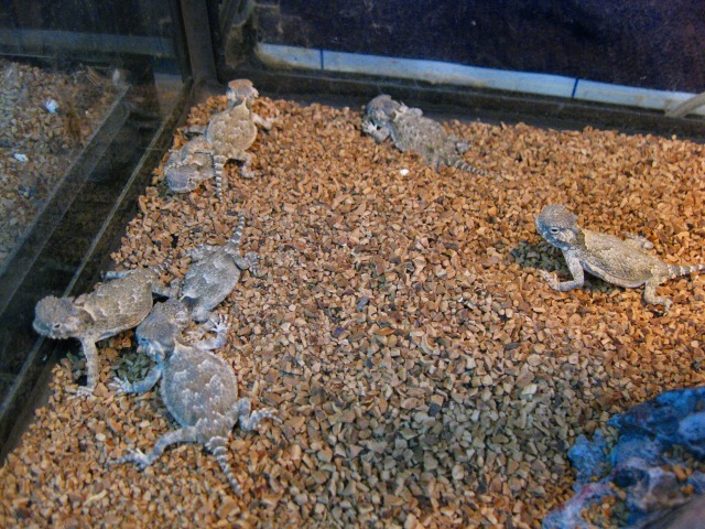 e0099576_17133784.jpg