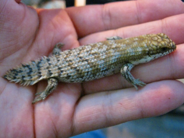 e0099576_18211765.jpg