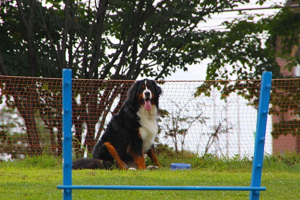 c0149178_14392377.jpg