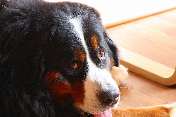 c0149178_1484889.jpg