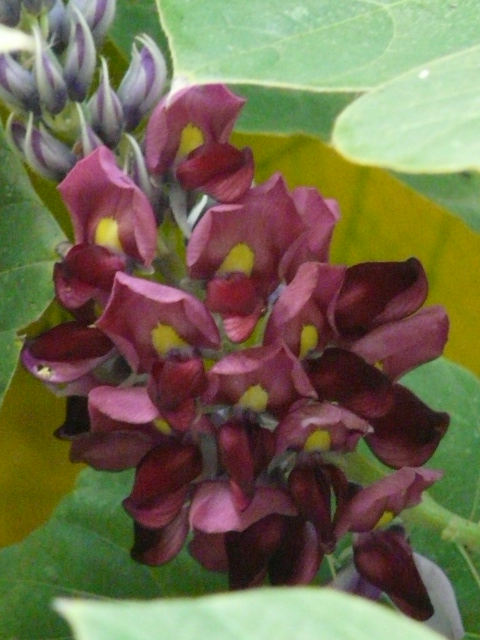e0145782_17103361.jpg