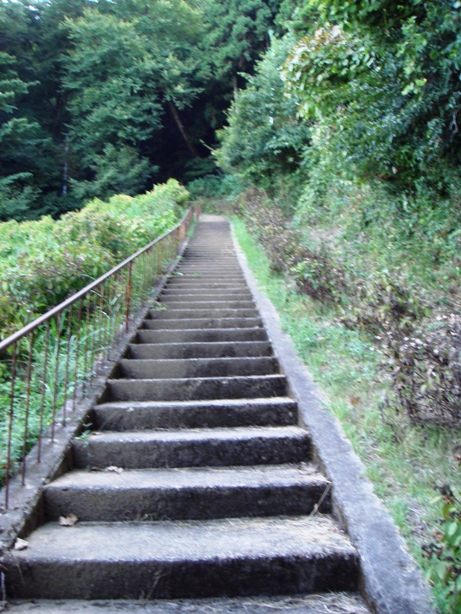 c0142883_05822.jpg