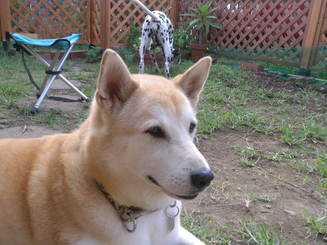 f0054783_1056323.jpg