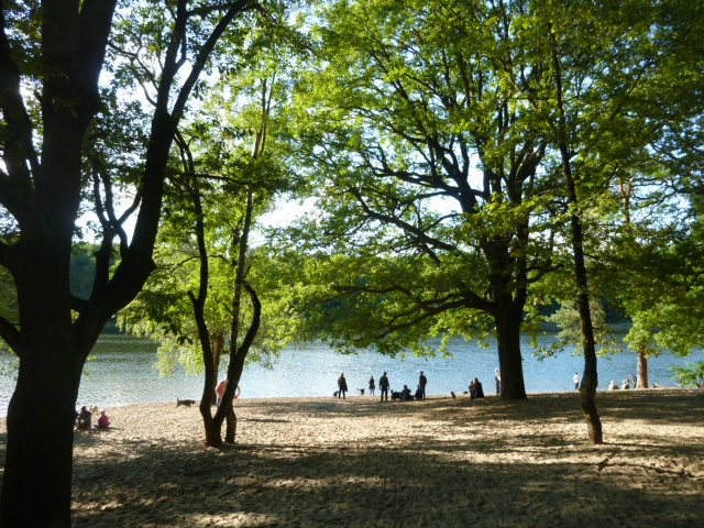 c0180686_180614.jpg