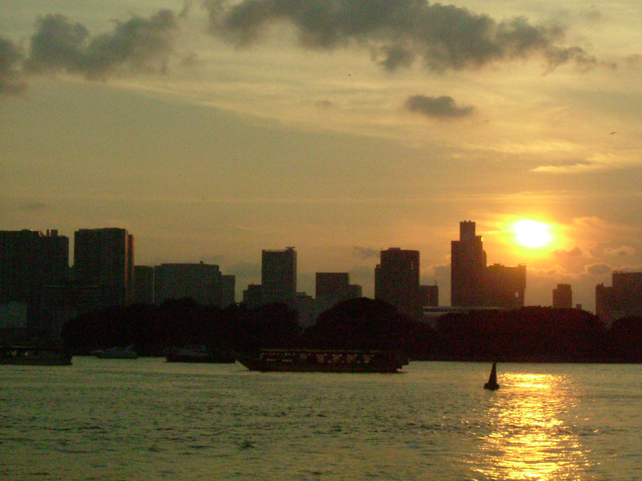 d0176986_1192681.jpg