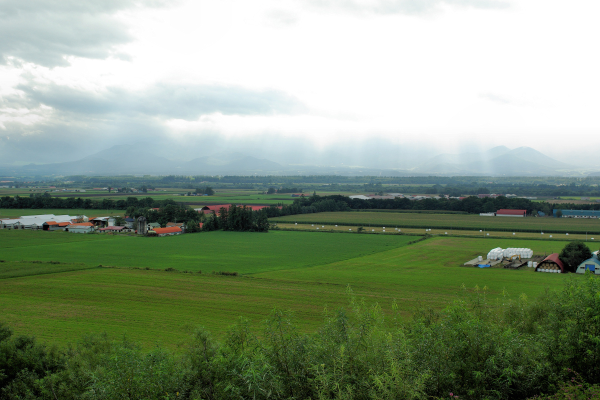 e0051186_2382545.jpg