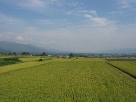 a0034487_19462536.jpg
