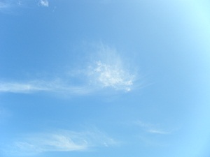 f0008692_22113928.jpg