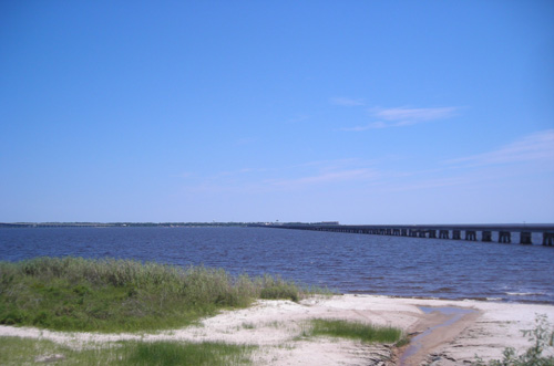 d0000995_2147237.jpg