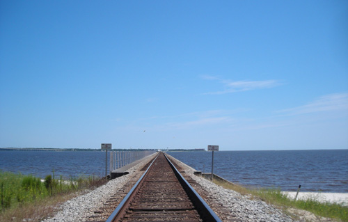 d0000995_21543323.jpg