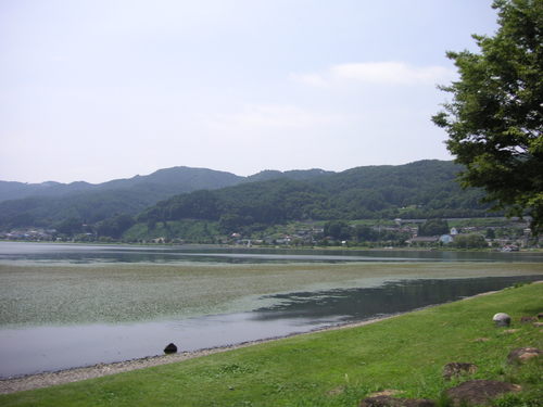 d0115997_211529.jpg