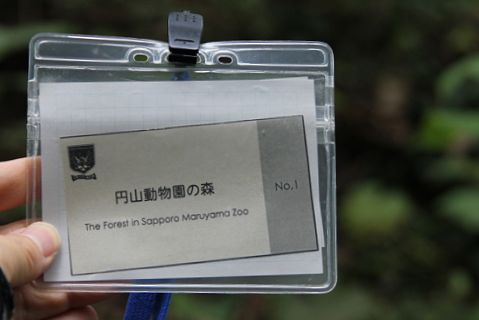 c0155902_2061671.jpg