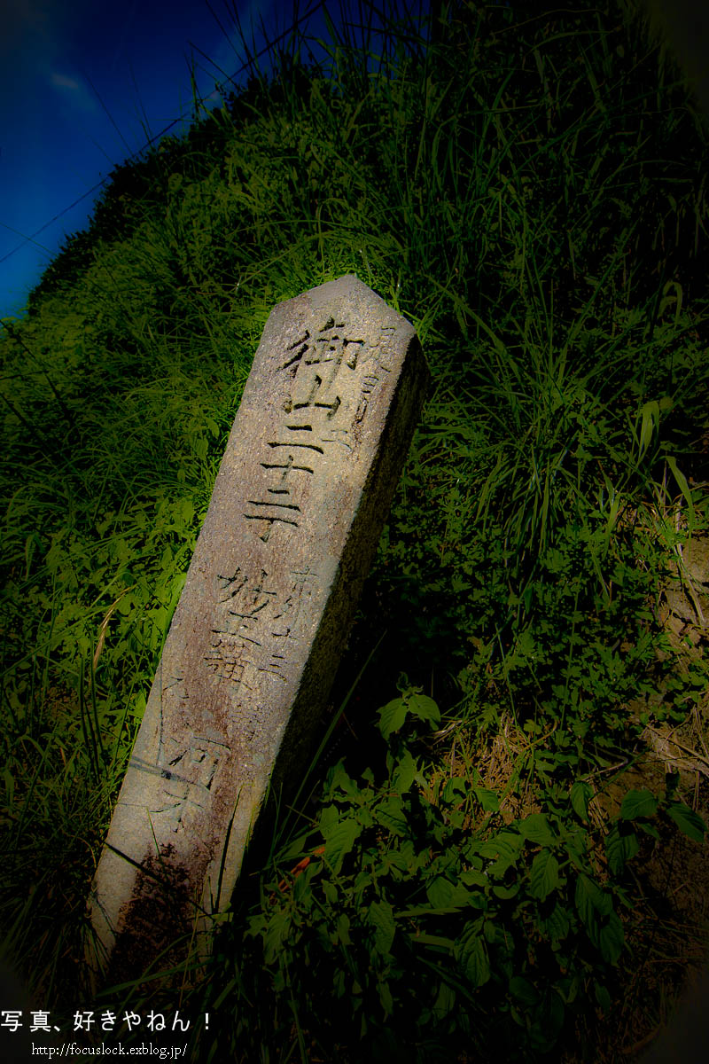 f0220502_2171419.jpg