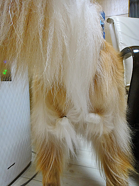 e0117503_17421520.jpg