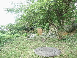 d0024504_1913937.jpg
