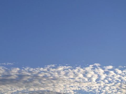 e0117805_164577.jpg