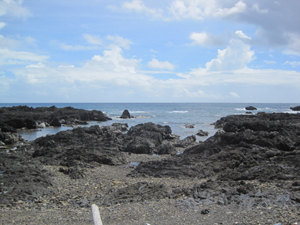 f0048405_1638370.jpg