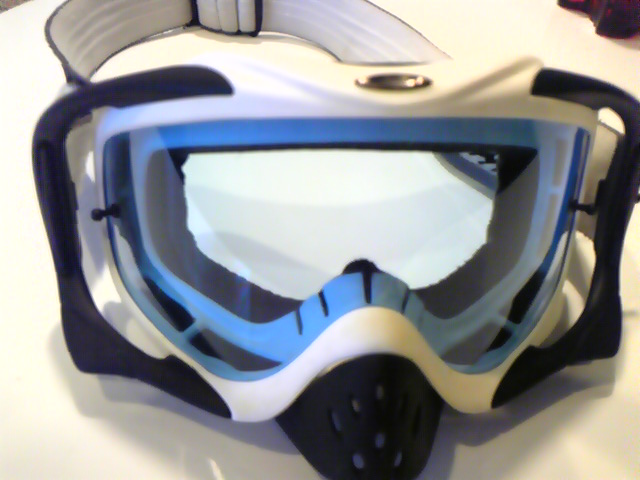 e0015108_837123.jpg