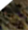 e0103408_14472626.gif