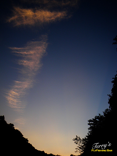 e0009009_1142076.jpg