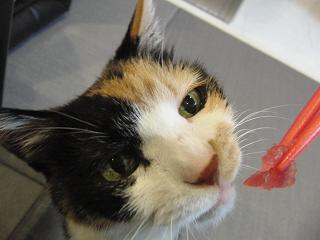 c0201113_21563843.jpg