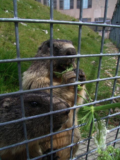 a0030714_7314496.jpg