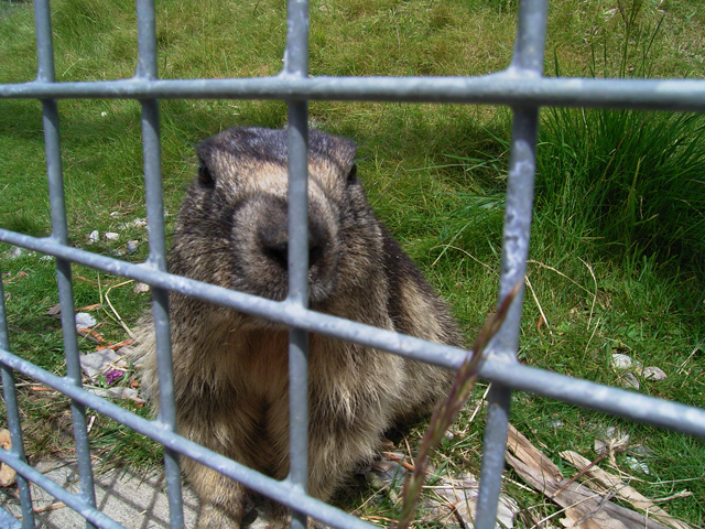 a0030714_731634.jpg