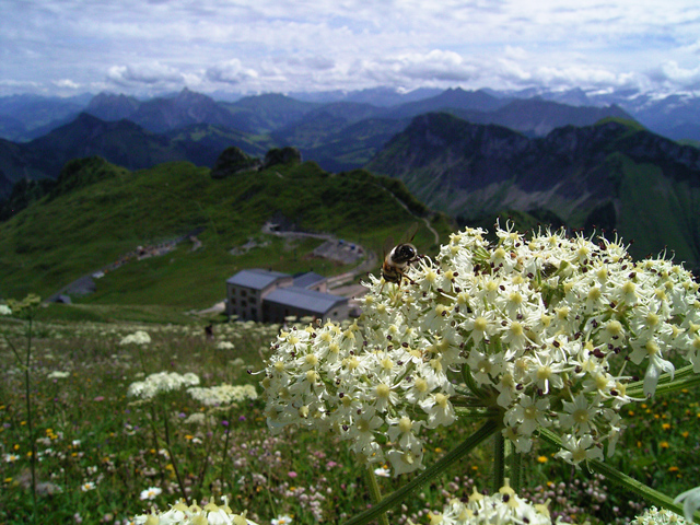 a0030714_7322042.jpg