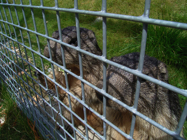 a0030714_732956.jpg