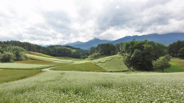 f0233414_21311895.jpg