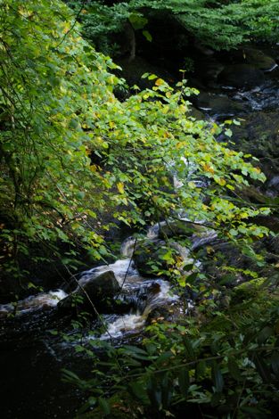 e0114020_20412949.jpg