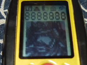 f0182920_23294572.jpg
