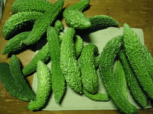 e0098223_1044027.gif