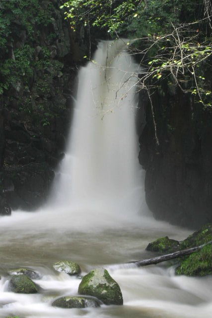 e0064133_017124.jpg
